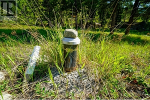 Lot 8 Mary G Road - Photo 9