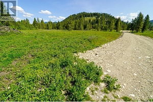 Lot 4 Mary G Road - Photo 10