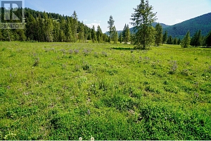 Lot 4 Mary G Road - Photo 11