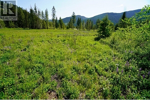 Lot 4 Mary G Road - Photo 12