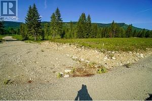 Lot 4 Mary G Road - Photo 3