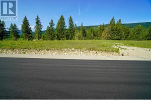 Lot 4 Mary G Road - Photo 4