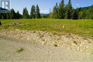 Lot 4 Mary G Road - Photo 5