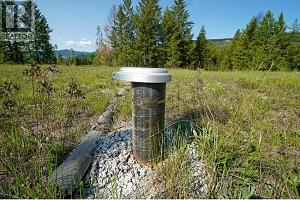 Lot 4 Mary G Road - Photo 6