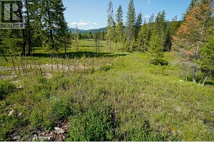 Lot 4 Mary G Road - Photo 7