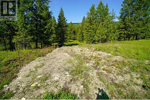 Lot 4 Mary G Road - Photo 8