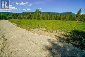 Lot 4 Mary G Road - Photo 9