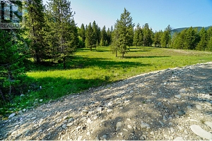 Lot 2 Mary G Road - Photo 4