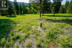 Lot 2 Mary G Road - Photo 5