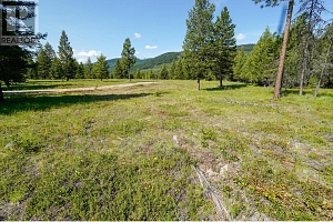 Lot 7 Mary G Road - Photo 10