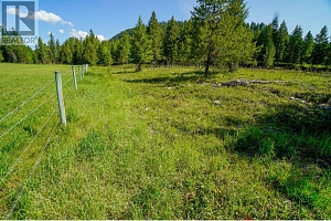 Lot 7 Mary G Road - Photo 11