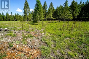 Lot 7 Mary G Road - Photo 12