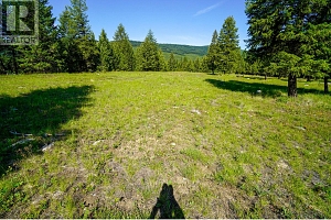 Lot 7 Mary G Road - Photo 2