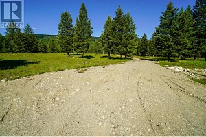 Lot 7 Mary G Road - Photo 5