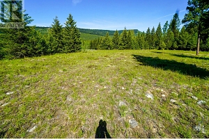 Lot 7 Mary G Road - Photo 6