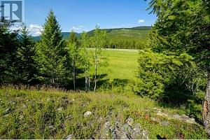 Lot 7 Mary G Road - Photo 7