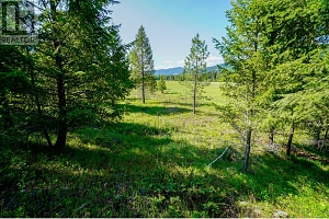 Lot 7 Mary G Road - Photo 8