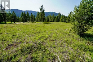 Lot 7 Mary G Road - Photo 9