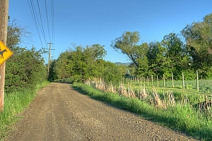 975 Mountview Road - Photo 47