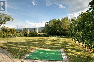 975 Mountview Road - Photo 48