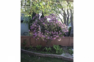 536 Loon Avenue - Photo 44