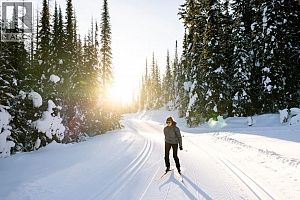 148 Silver Lode Lane Unit# 309 - Photo 21