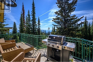 705 Monashee Road - Photo 33