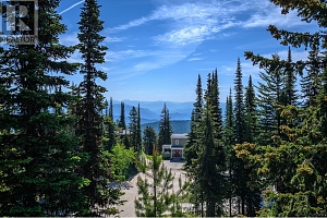 705 Monashee Road - Photo 35