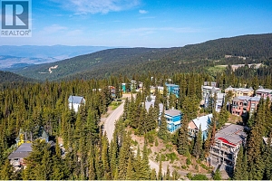 705 Monashee Road - Photo 38