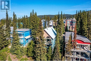 705 Monashee Road - Photo 41