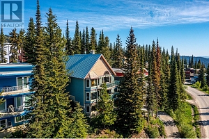 705 Monashee Road - Photo 42