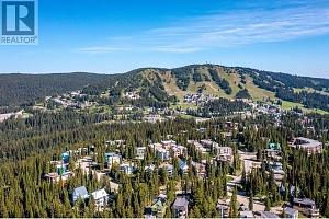 705 Monashee Road - Photo 45