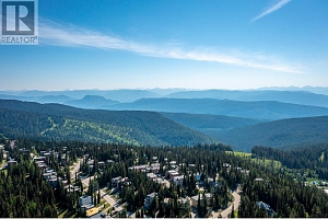 705 Monashee Road - Photo 46