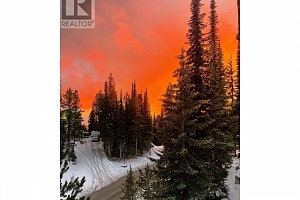 705 Monashee Road - Photo 49