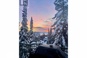 705 Monashee Road - Photo 52