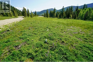 Lot 3 Mary G Road - Photo 10