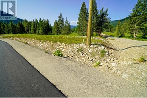 Lot 3 Mary G Road - Photo 11