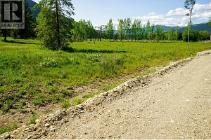 Lot 3 Mary G Road - Photo 12