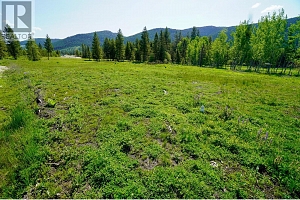 Lot 3 Mary G Road - Photo 13