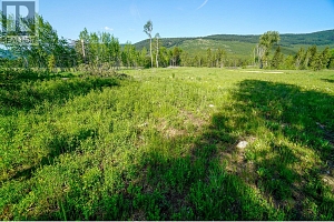 Lot 3 Mary G Road - Photo 5