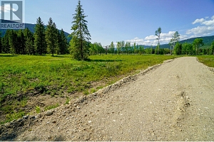 Lot 3 Mary G Road - Photo 7