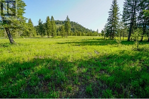 Lot 3 Mary G Road - Photo 8