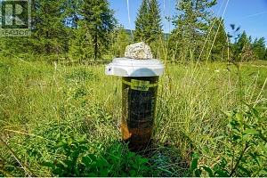 Lot 3 Mary G Road - Photo 9