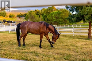 2375 Grantham Road - Photo 3