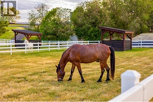 2375 Grantham Road - Photo 78