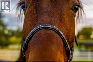 2375 Grantham Road - Photo 79