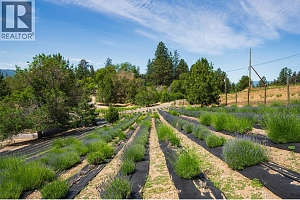 2375 Grantham Road - Photo 85