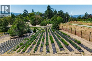 2375 Grantham Road - Photo 86