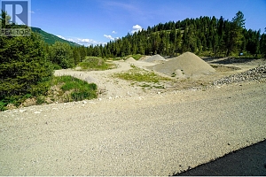 Lot 10 Mary G Road - Photo 10