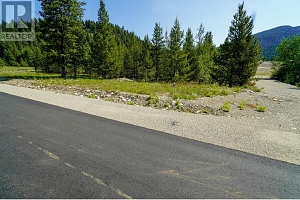 Lot 10 Mary G Road - Photo 2